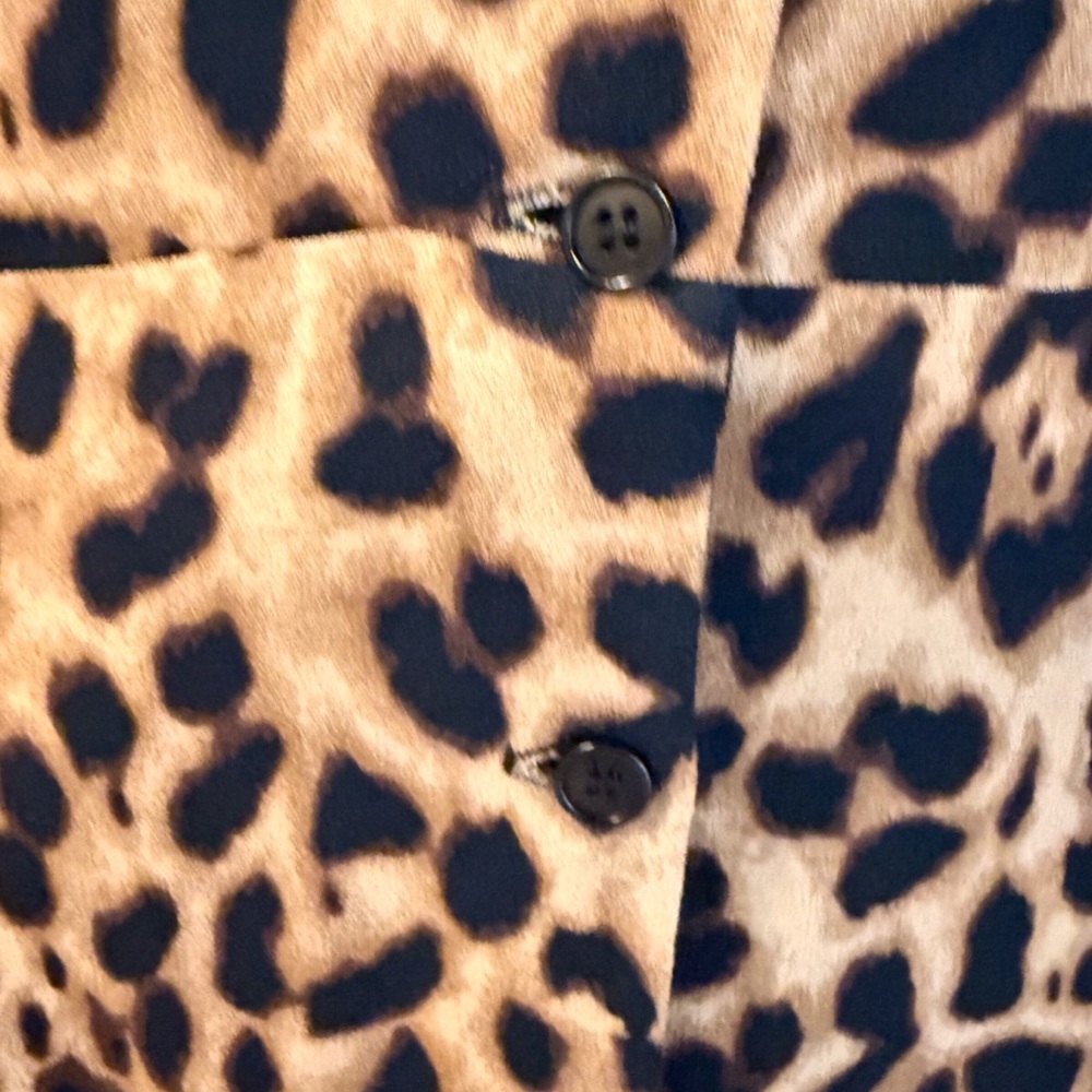 Reformation Alma Leopard Print Button Front long sleeve Midi dress. - Picture 13 of 14